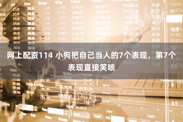 网上配资114 小狗把自己当人的7个表现，第7个表现直接笑喷