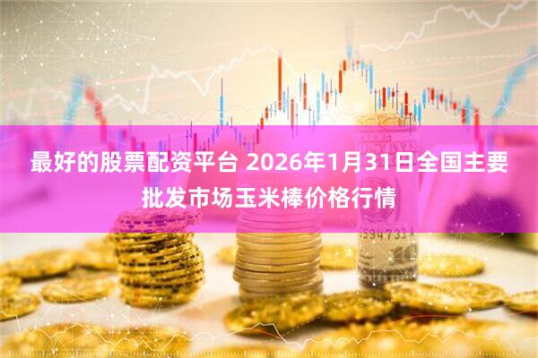 最好的股票配资平台 2026年1月31日全国主要批发市场玉米棒价格行情