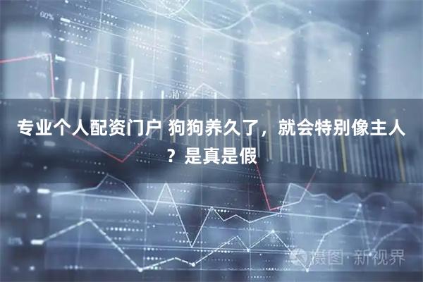专业个人配资门户 狗狗养久了，就会特别像主人？是真是假